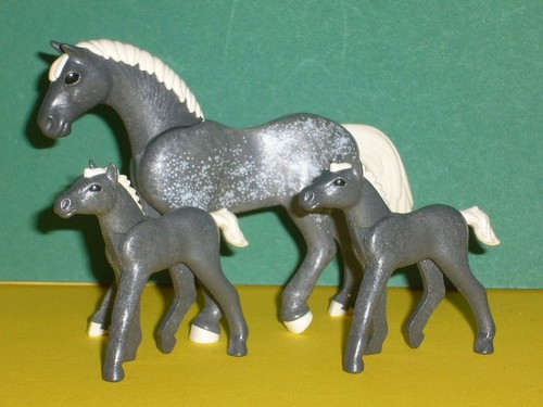 Playmobil ein pferd mit - ein, zwei