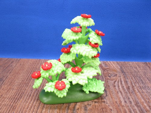 Blumen beet wiese pflanzen - blumen,
